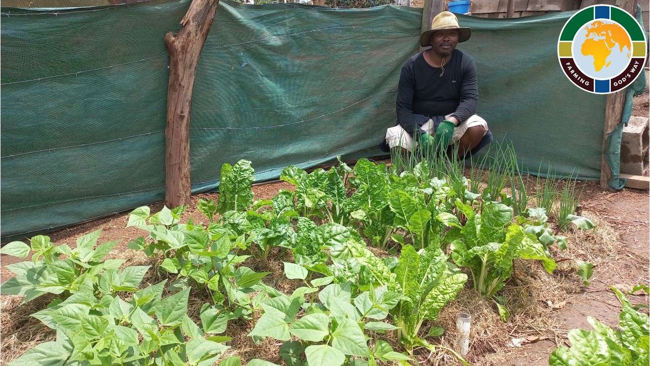 Gardens of Faithfulness growing well.